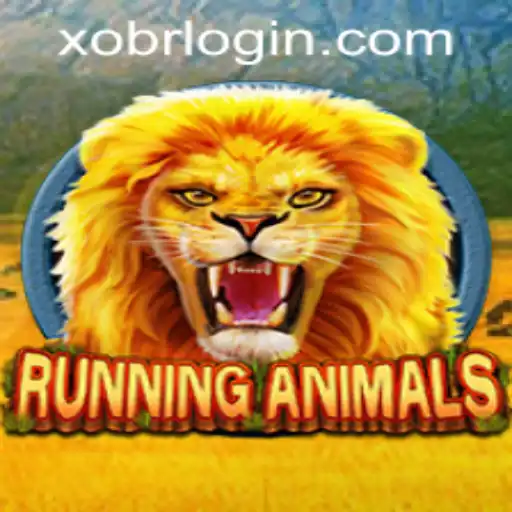 xobet PH Login Tabletop Game